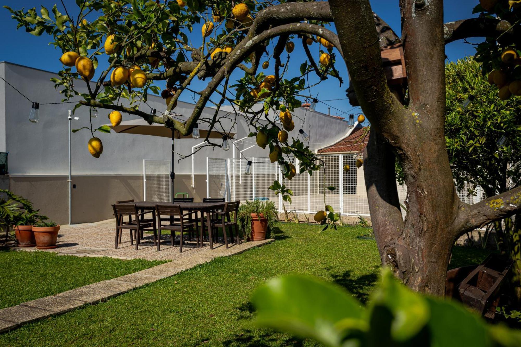 708 Mugnano House Aveleda Villa Vila do Conde Exterior photo